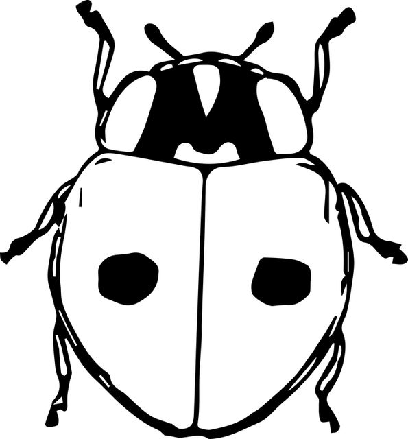 npressfetimg-419.png
