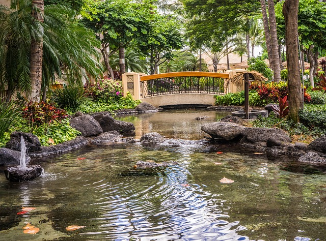 pond, outdoor pond, outdoor waterfall