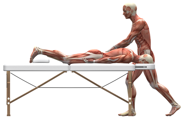 therapy, body therapy, mind therapy