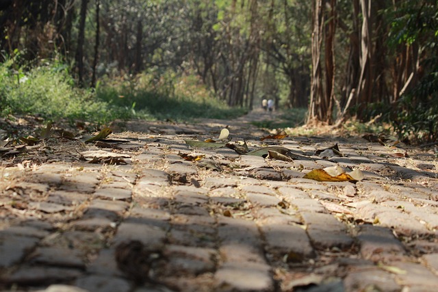 walkway, pathway