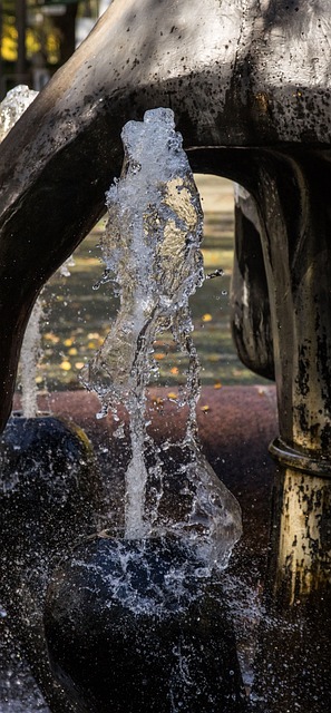 water feature, landscaping