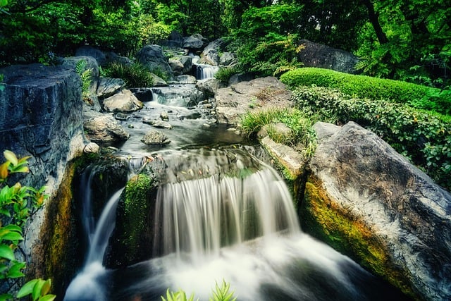 water feature, landscaping