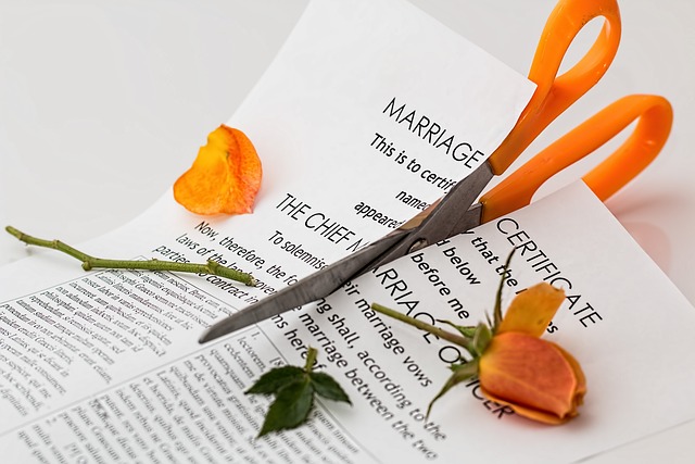 wealth, divorce, couple