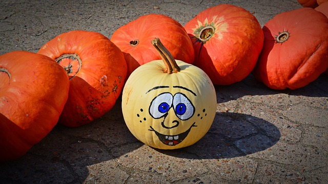 Efficient Yard Waste Solutions for Busy Homeowners: Maximizing Recycling Benefits
