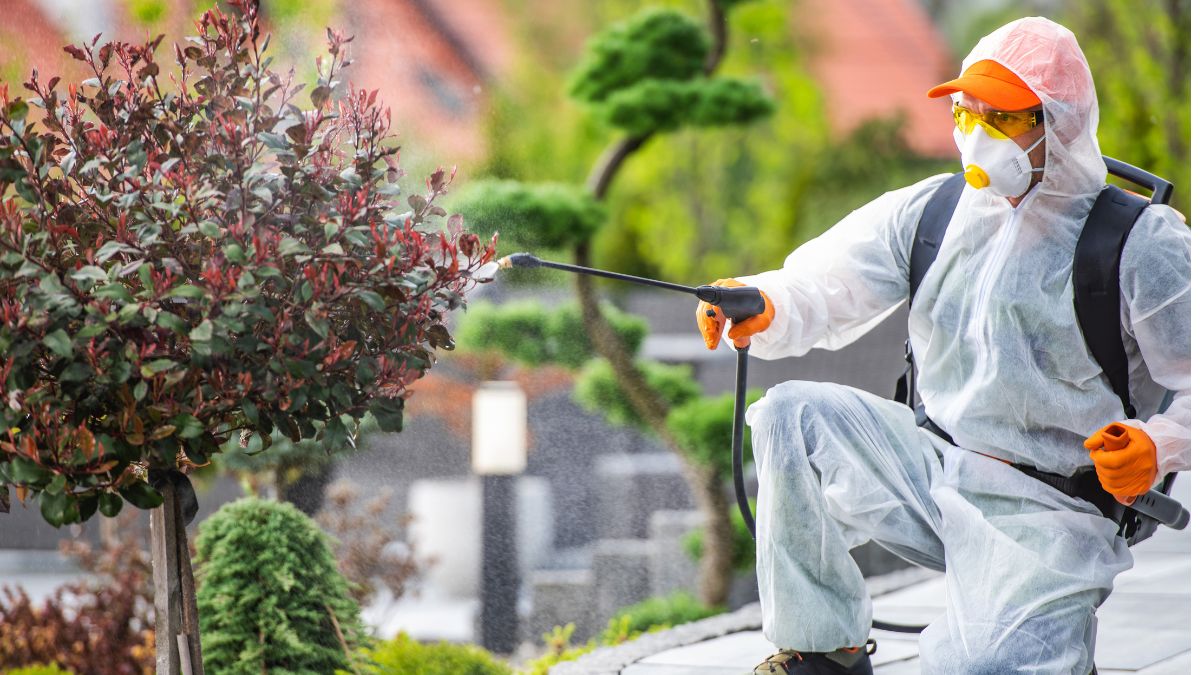 Comprehensive Pest Prevention: Tips, Professional Services, and Eco-Friendly Solutions for Long-Term Protection
