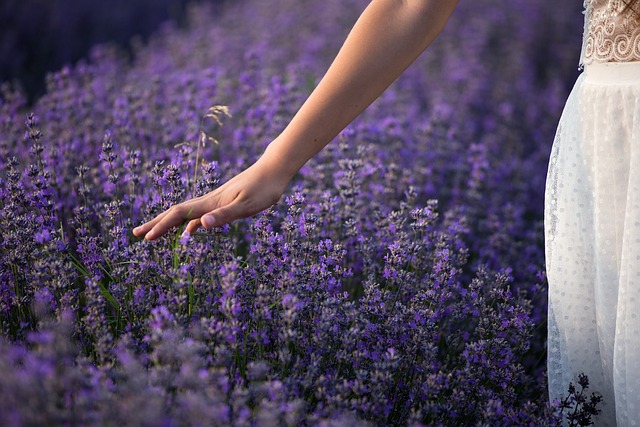Seasonal Garden Maintenance: Prepare, Protect, and Prosper