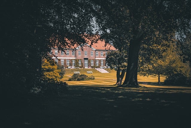 law, lawyer, estate, wealth, properties