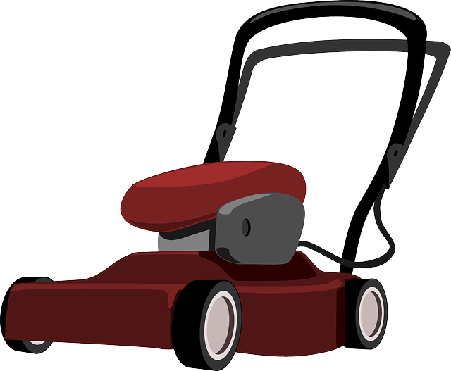 lawn