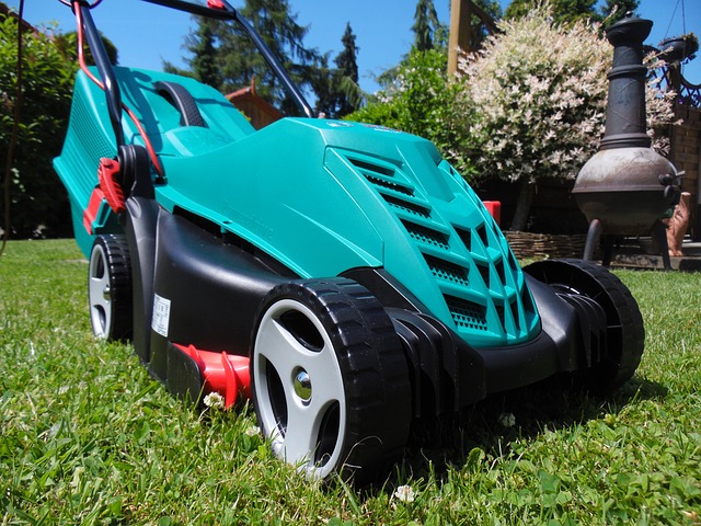 Cost-Effective Lawn Care: Seasonal Solutions & DIY Tips for Healthy Greens