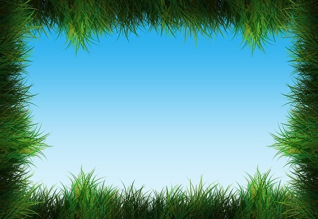 Mastering Lawn Upkeep: Comprehensive Care for Vibrant Growth