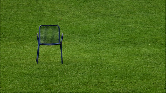 lawn