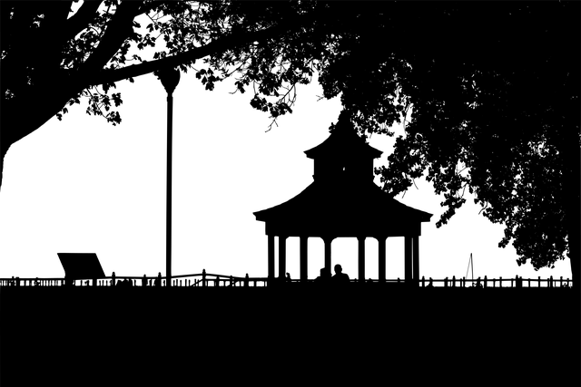 npressfetimg-2330.png