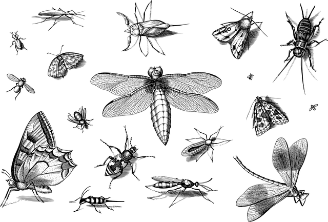 npressfetimg-3755.png