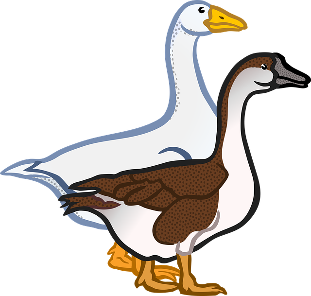 npressfetimg-4947.png