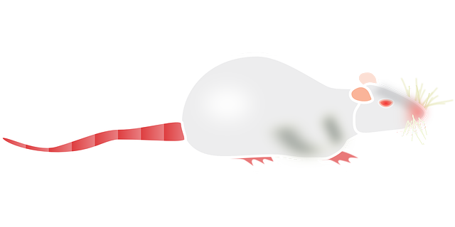 npressfetimg-6124.png