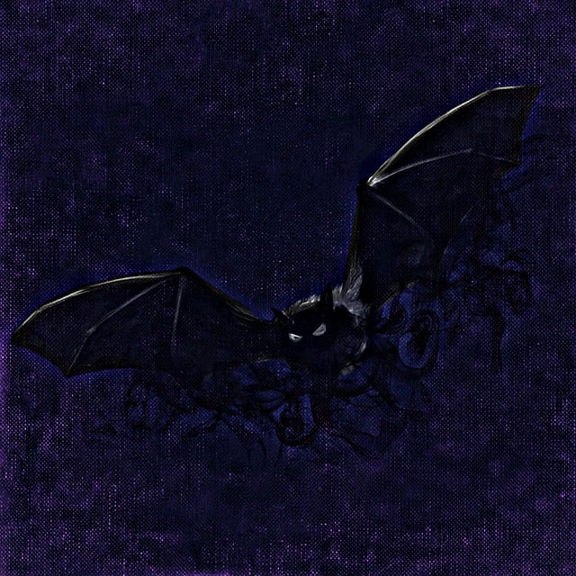 npressfetimg-6127.png