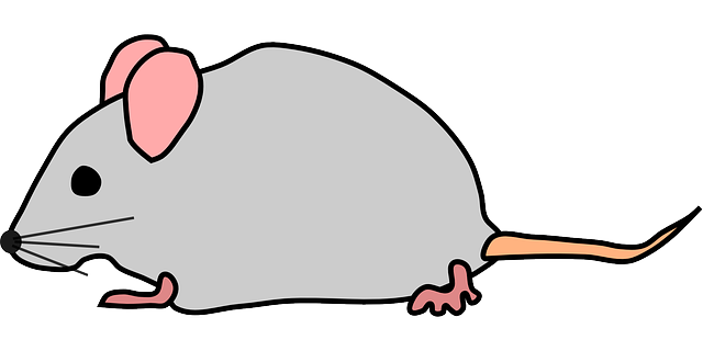 npressfetimg-6135.png