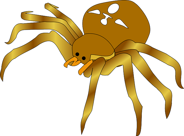 Eco-Friendly Spider Prevention: Safe, Effective Solutions for All