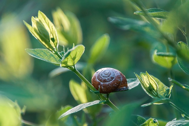 Eliminate Stinging Pests: Expert Control & Effective Removal Tips