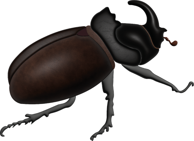 Protecting Wood: Maintenance Programs & Eco-Friendly Beetle Solutions