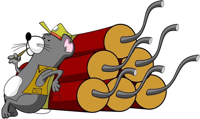 Swift Rodent Solutions: Professional, Eco-Friendly Infestation Remedies for Homes and Businesses