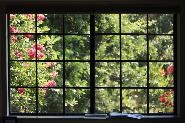 Modern Window Renovations: Energy-Efficient Solutions for Comfortable Living