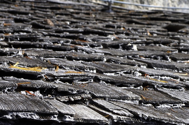 Reliable Cedar Roofing: Durability Meets Aesthetic Appeal for Your Home