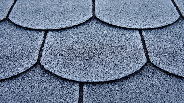 Spring & Fall Roof Inspections: Maintaining Your Shelter with Seasonal Care