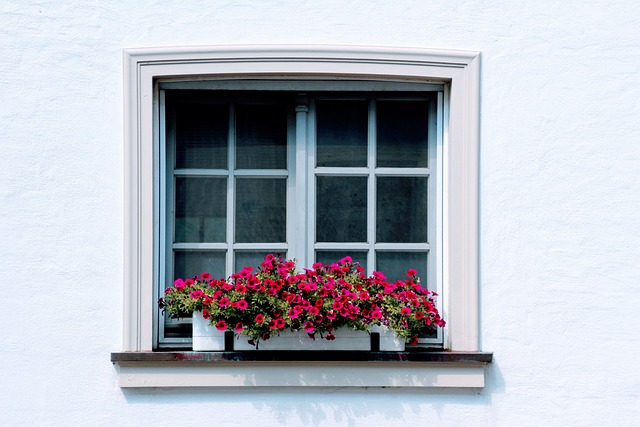 Automated Windows: Modern Solutions for Homes & Businesses