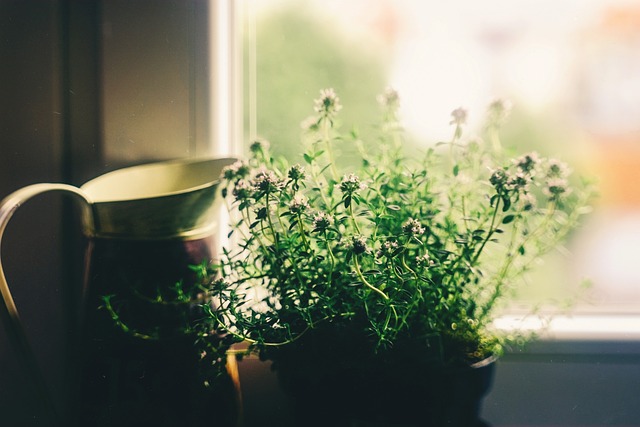 Modern Window Renovations: Experts Guide to Energy-Efficient Insulation & Double Glazing