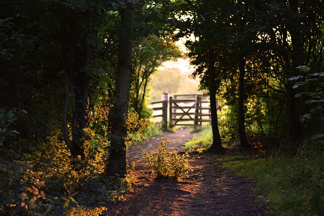 Expert Installation: Securing and Enhancing Your Metal Garden Gates