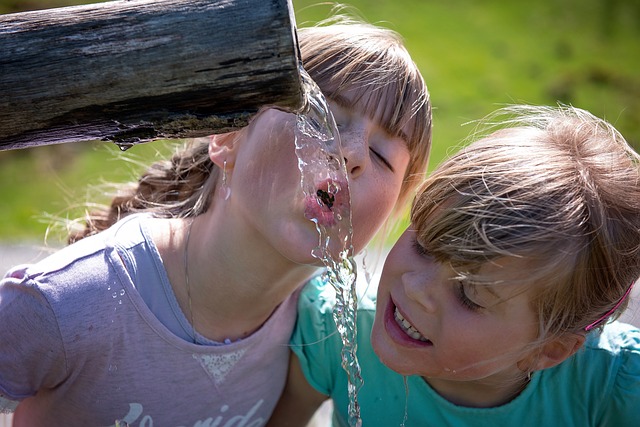 Transform Your Space with Proven Waterfall Features: From DIY to Eco-Friendly Designs