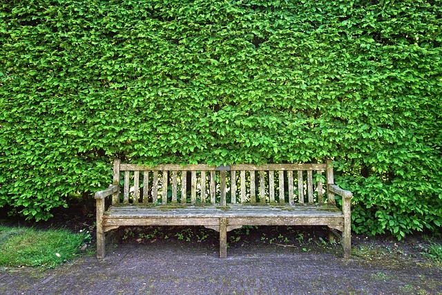 outdoor furniture, furniture