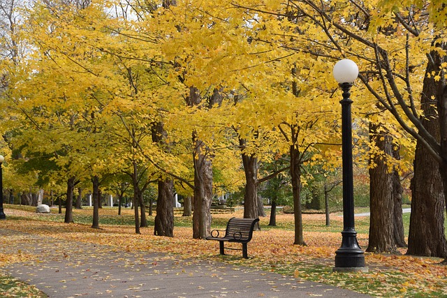 Weatherproof Outdoor Seating: Transforming Common Area Design with Durable Furniture Solutions