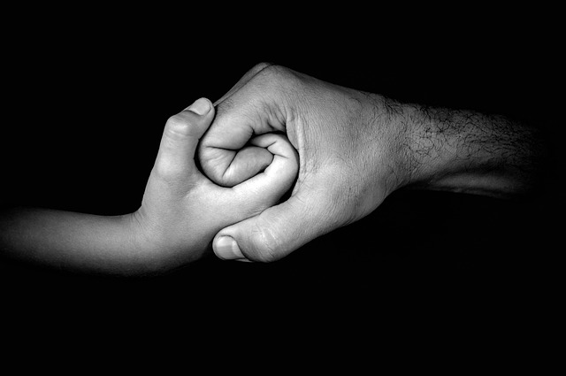 Expert Co-Parenting Support: Navigating Alienation, Legal Aid, and Fair Parenting Time