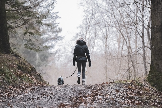 Pet Sitting and Dog Walking: Adventures for Animals and Owners