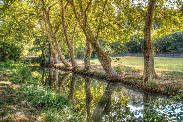pond, outdoor pond, outdoor waterfall