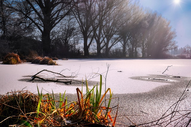 pond, outdoor pond, outdoor waterfall