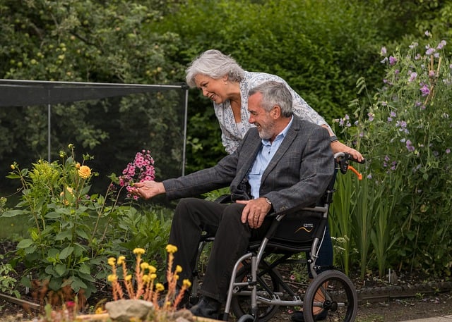 senior, elderly, retirement, retired people