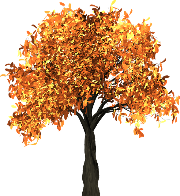 Mastering Tree and Shrub Pruning: Expert Care for Optimal Plant Health