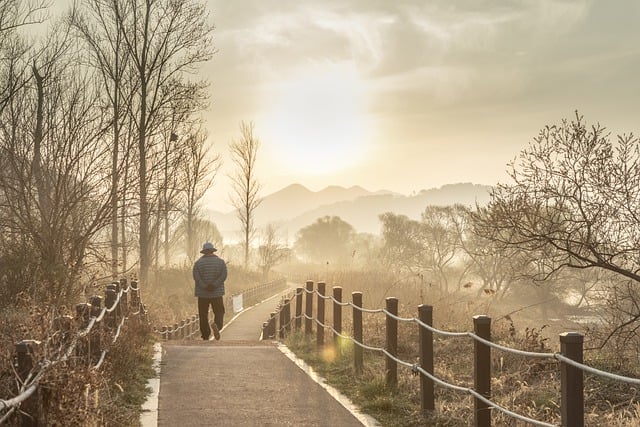 Reliable Walkway Installation: Designing & Constructing Sturdy Garden Paths