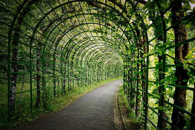 walkway, pathway