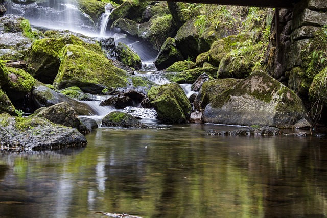 water-feature-landscaping-640x480-50523895.jpeg