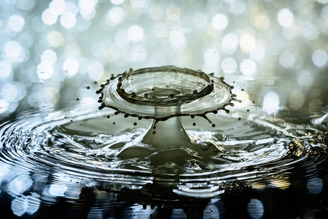 Custom Water Features: Transform Your Garden with Stunning Displays