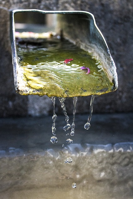 water feature, landscaping