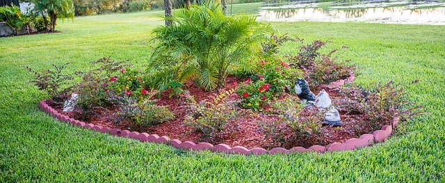 yard, landscaping