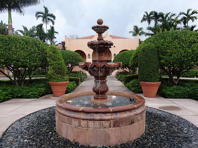 yard, landscaping