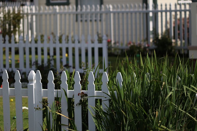 yard, landscaping