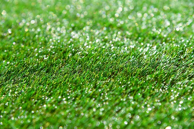 artificial grass, turf