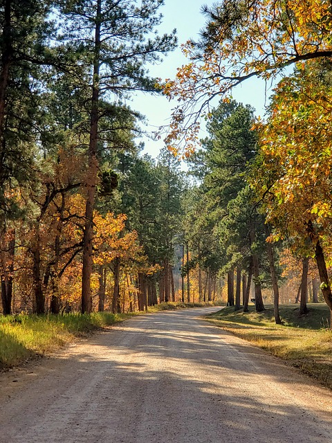 Elevate Your Home’s Curb Appeal with Elegant Driveway Solutions